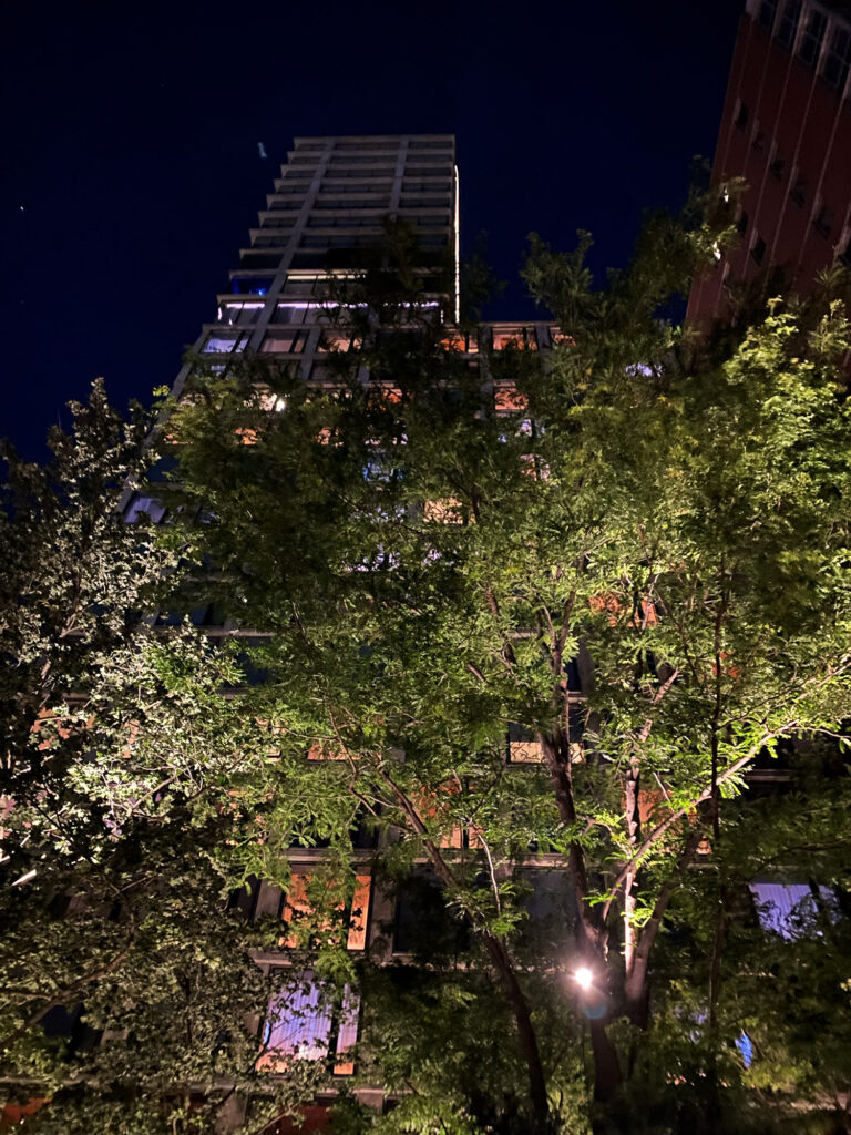 New York: Eine Nacht im Public - Popular und The Roof