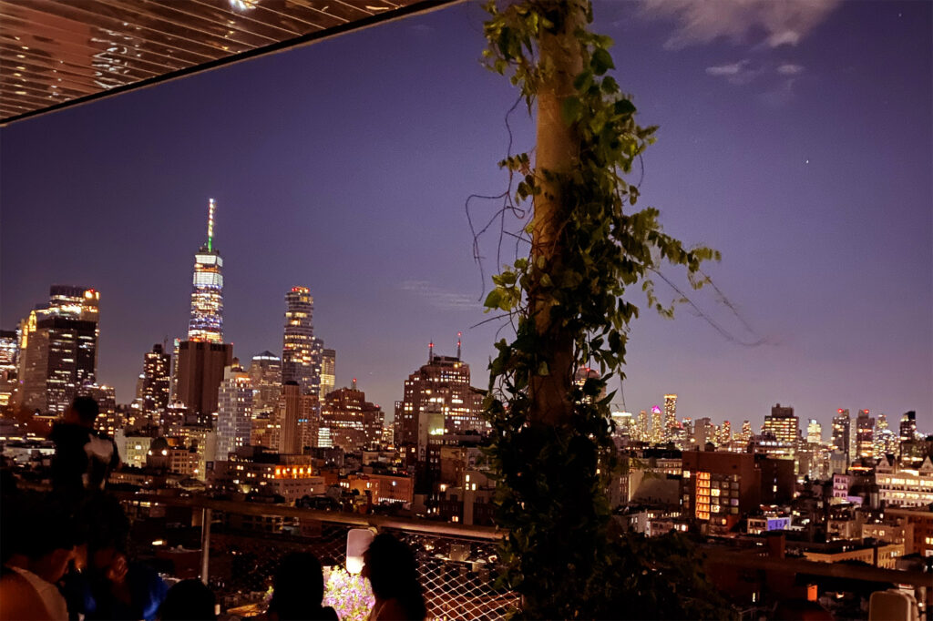 New York: Eine Nacht im Public - Popular und The Roof