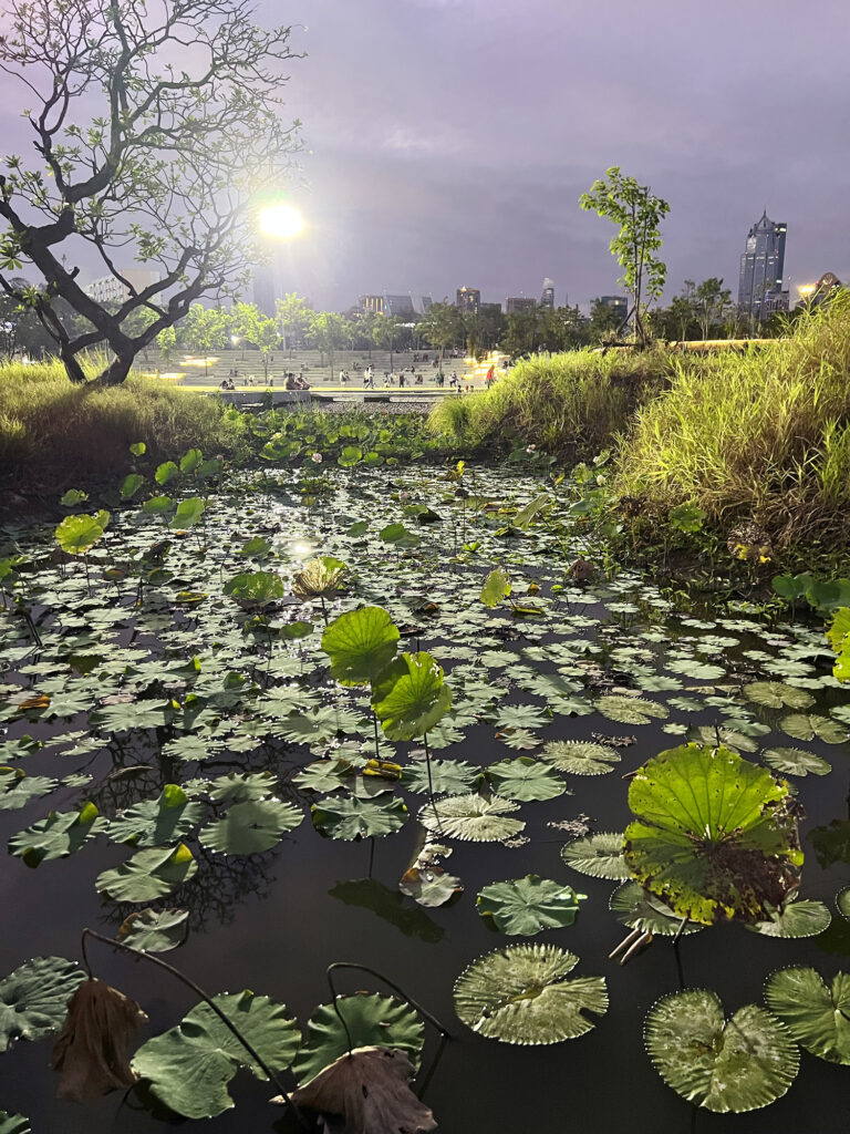 Bangkok: Benchakitti Forest Park - Eine grüne Oase in der Stadt
