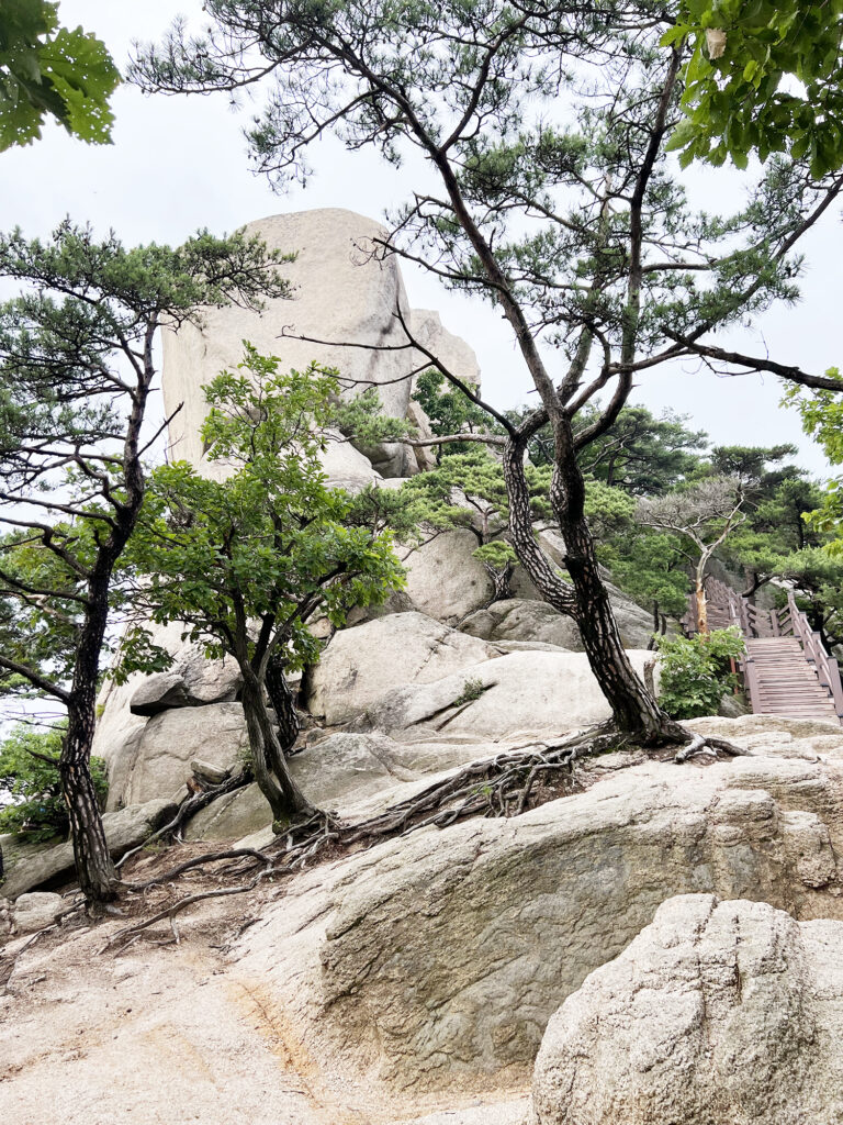 Seoul: Suraksan - Eine Wanderung zum Gipfel