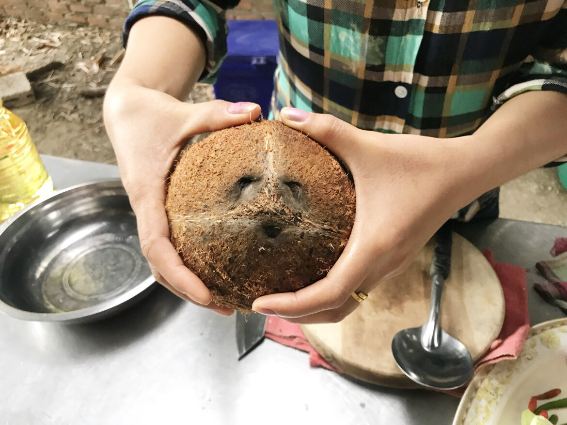 Wie man eine Kokosnuss aufknackt