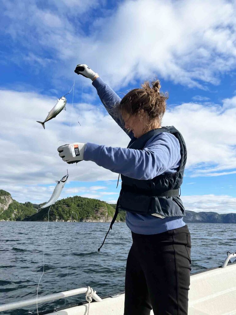 Norwegen: Angeln in Farsund