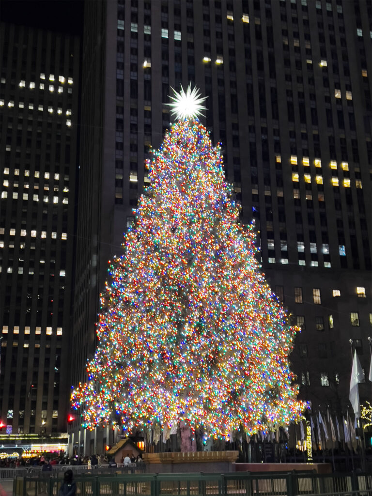 New York – Der Weihnachtsbaum am Rockefeller Center