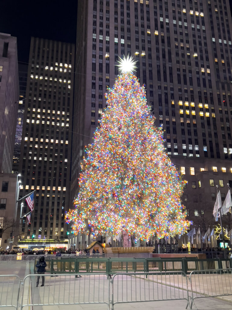 New York – Der Weihnachtsbaum am Rockefeller Center