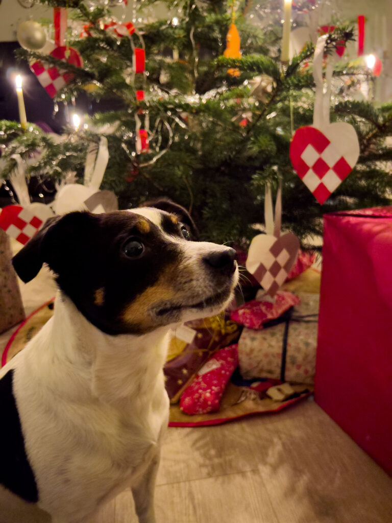 Weihnachten in Dänemark – Wie meine Familie den Heiligabend feiert