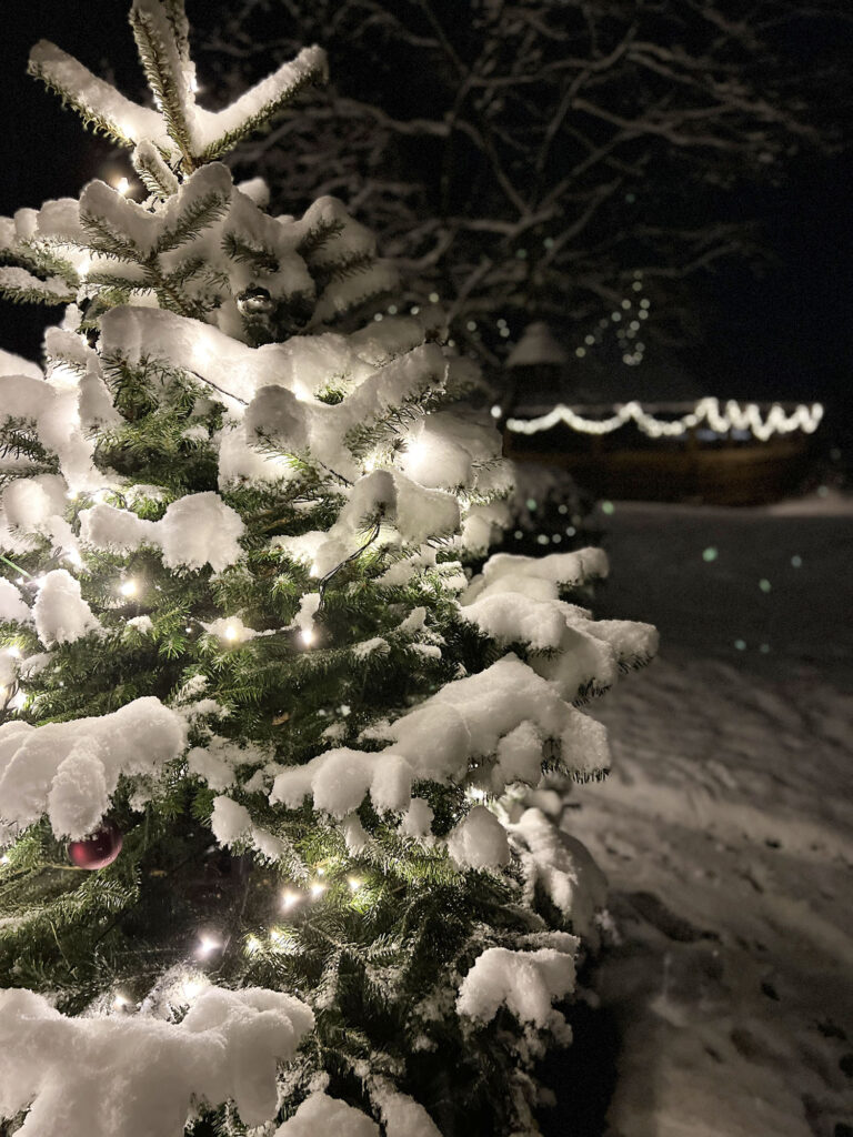 Weihnachten in Dänemark – Wie meine Familie den Heiligabend feiert