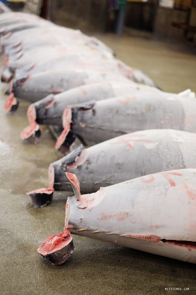 Tokio: Die Thunfischauktion auf dem Tsukiji-Fischmarkt – Mein letzter Besuch