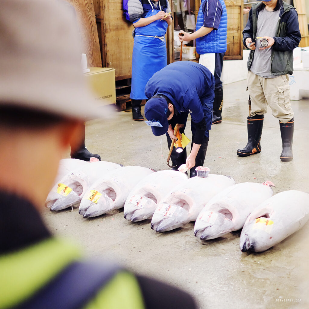 Tokio: Die Thunfischauktion auf dem Tsukiji-Fischmarkt – Mein letzter Besuch