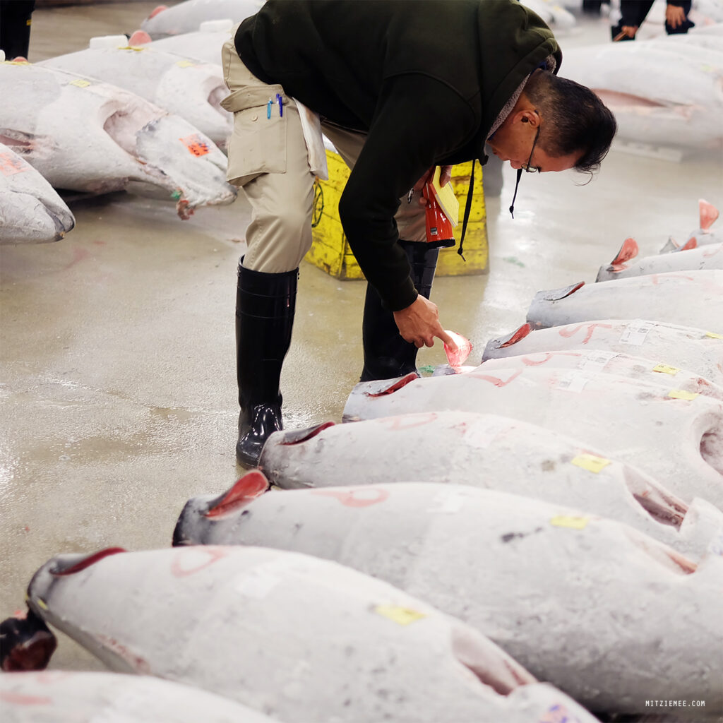 Tokio: Die Thunfischauktion auf dem Tsukiji-Fischmarkt – Mein letzter Besuch