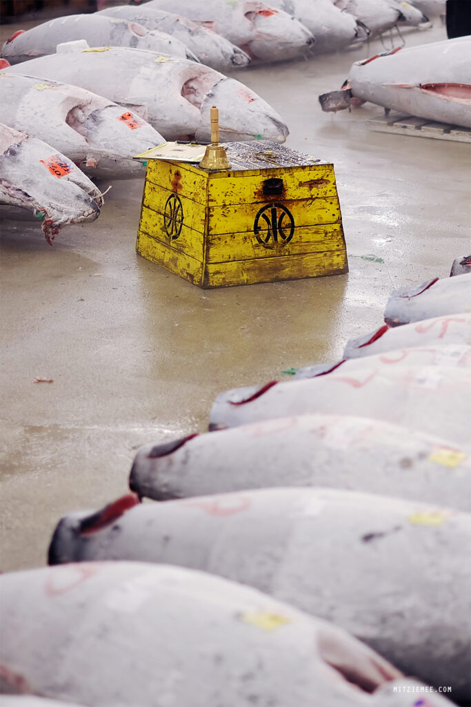 Tokio: Die Thunfischauktion auf dem Tsukiji-Fischmarkt – Mein letzter Besuch