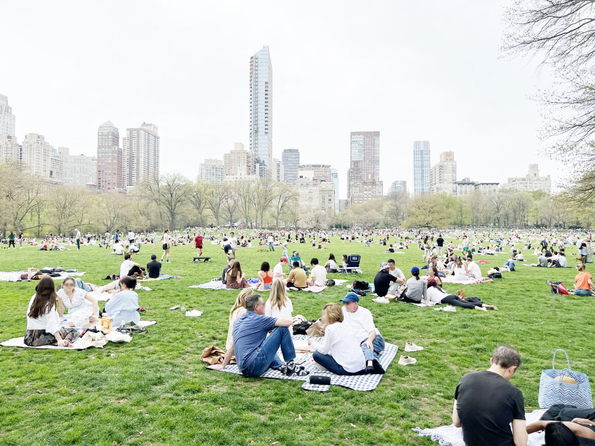 New York Blog: Bagel-Picknick im Central Park
