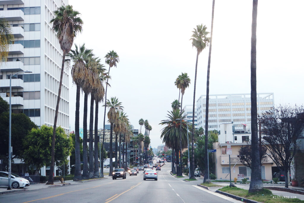 Auto mieten und fahren in Los Angeles: Tipps für deine Reise