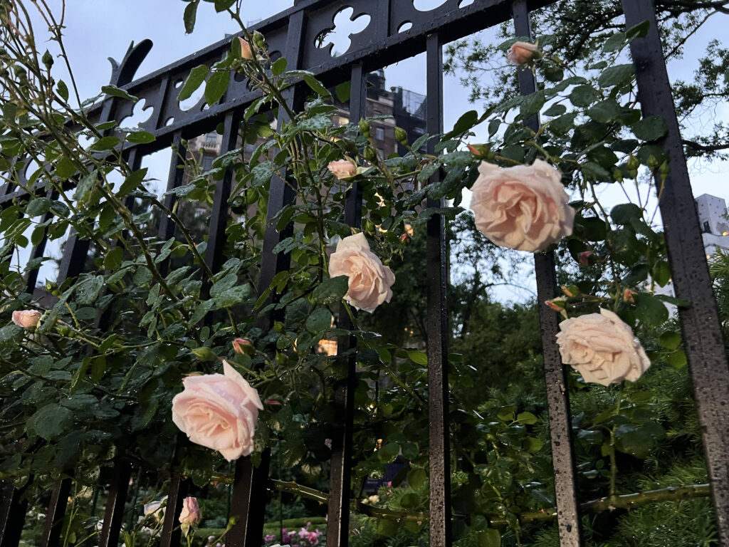 New York: Geistergeschichten in Greenwich Village