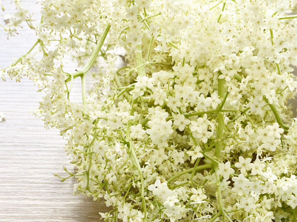 Rezept: Der Holunderblütensirup meiner Mutter