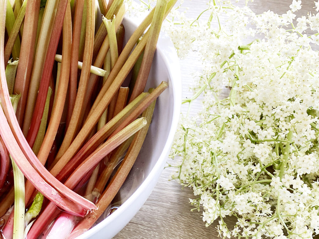 Rezept: Der Holunderblütensirup meiner Mutter