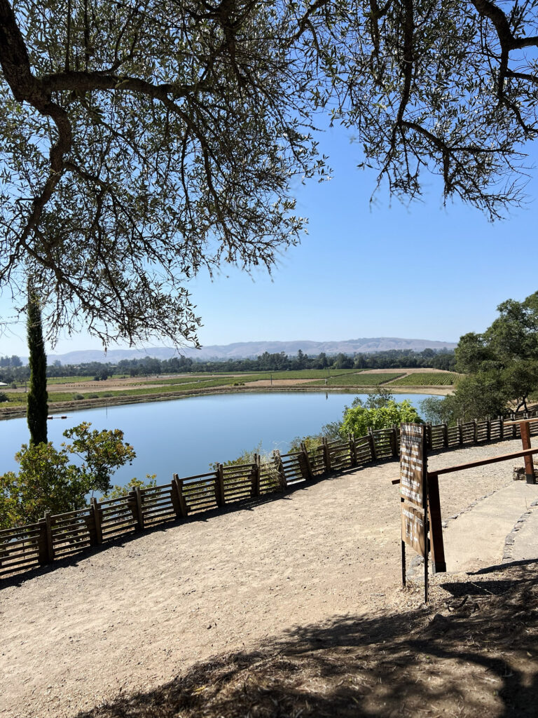 California: Gundlach Bundschu Winery in Sonoma