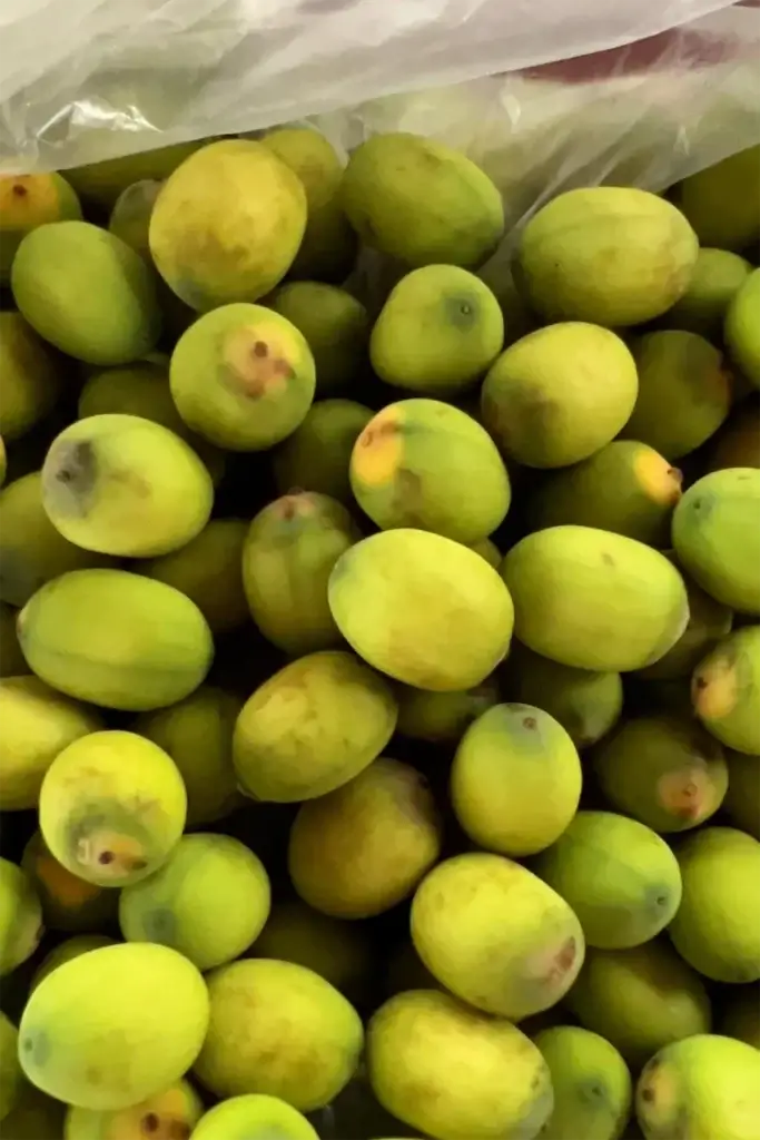 Cambodia: Frische Lotuskerne - Ein leckerer Snack vom Markt