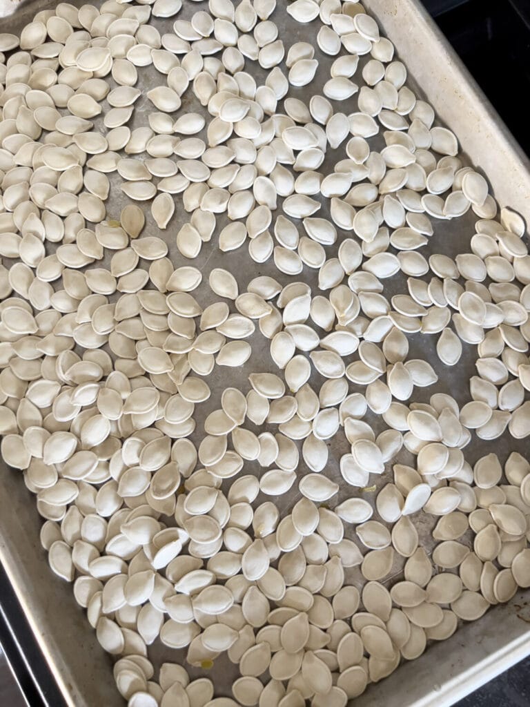 Rezept: Geröstete Kürbiskerne mit Harissa