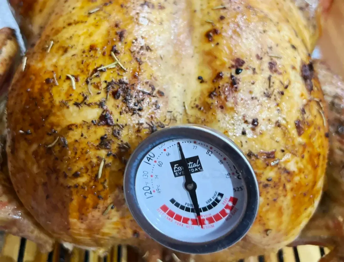 Kerntemperatur und Fleischthermometer: Mein Guide zu perfekt gegartem Fleisch